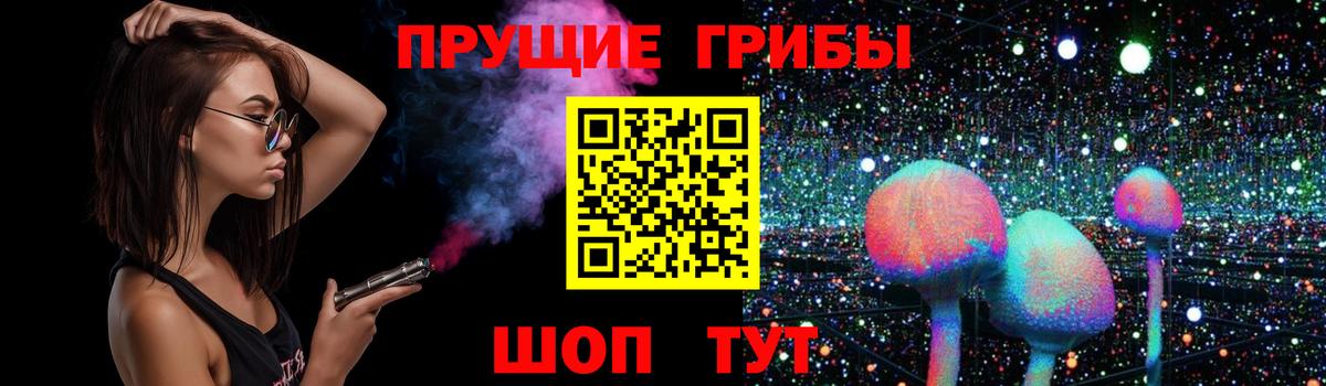 купить   Псилоцибиновые грибы Magic Shrooms  Вход с VPN  Чистополь 